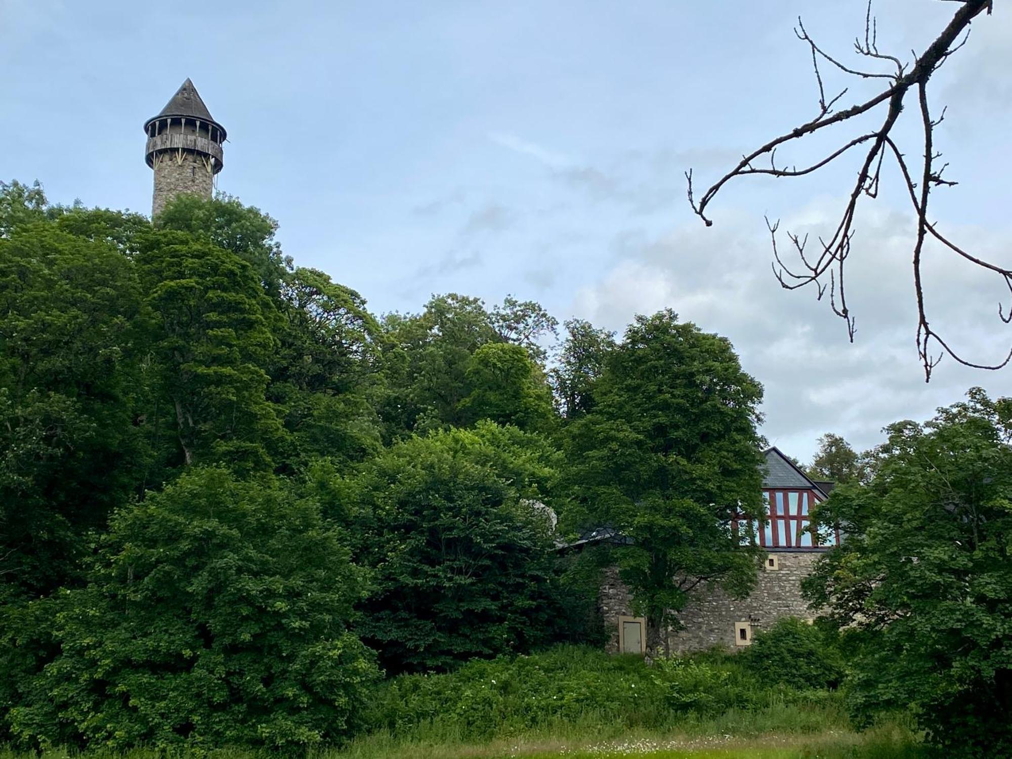 Ferienwohnung An Der Wildenburg 켐펠트 외부 사진